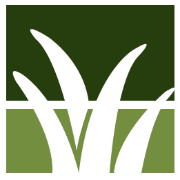 Pine Needles Removal Pros