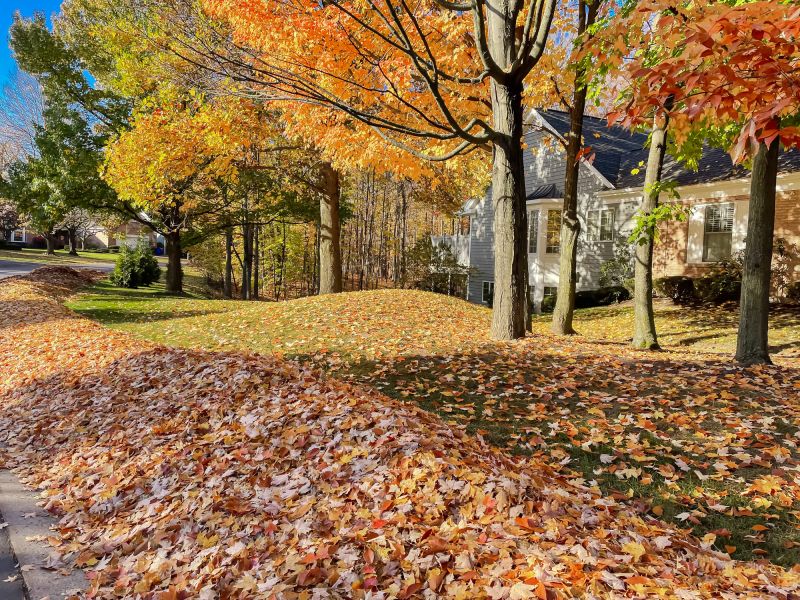 Autumn Leaf Removal in Ventura County, CA