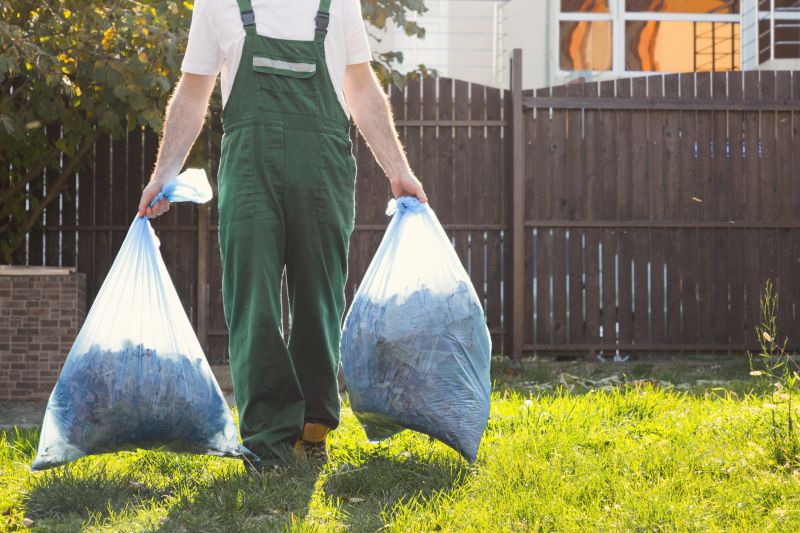 Spring Lawn Cleanup