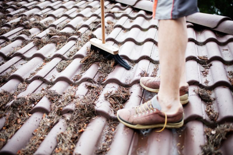 Pine Needles Removal detail