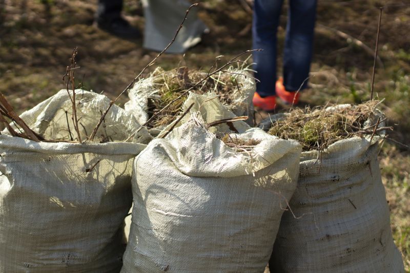 Lawn Waste Removal in Ventura County, CA